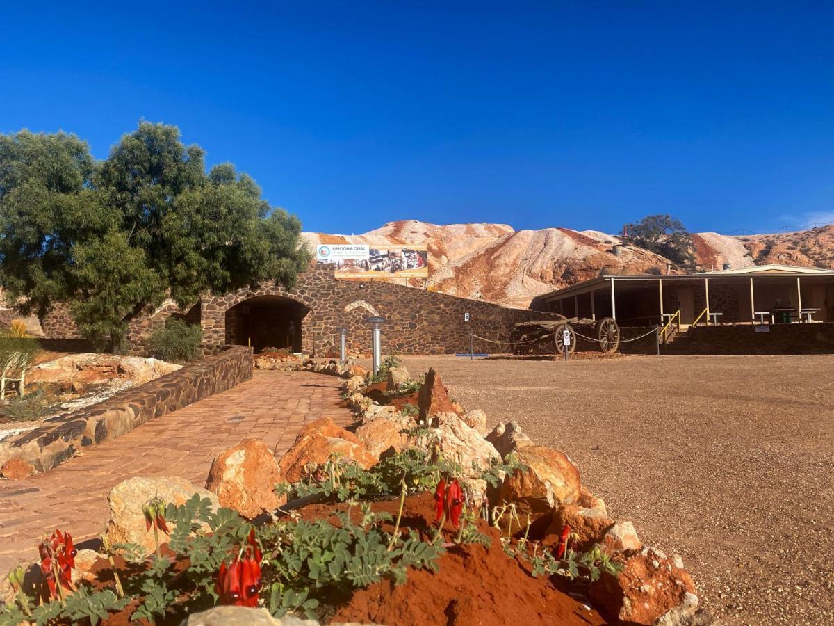 Ali'S Underground Studio Coober Pedy Esterno foto